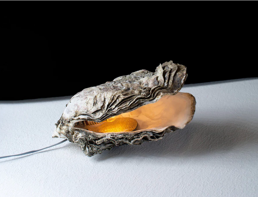 Oyster lamp by Daan