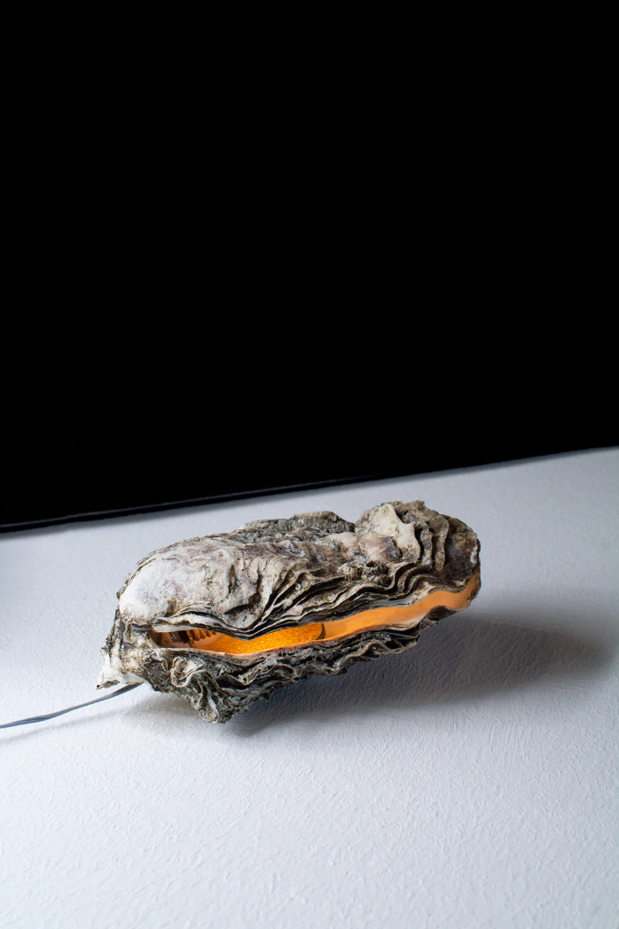 Oyster lamp by Daan