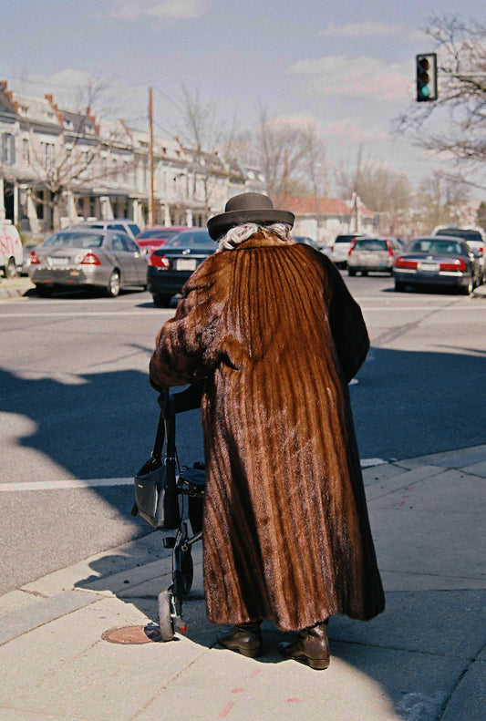 Washington DC, 2017