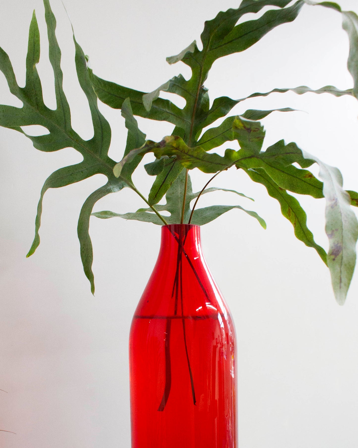 Vase / Red -  Vintage