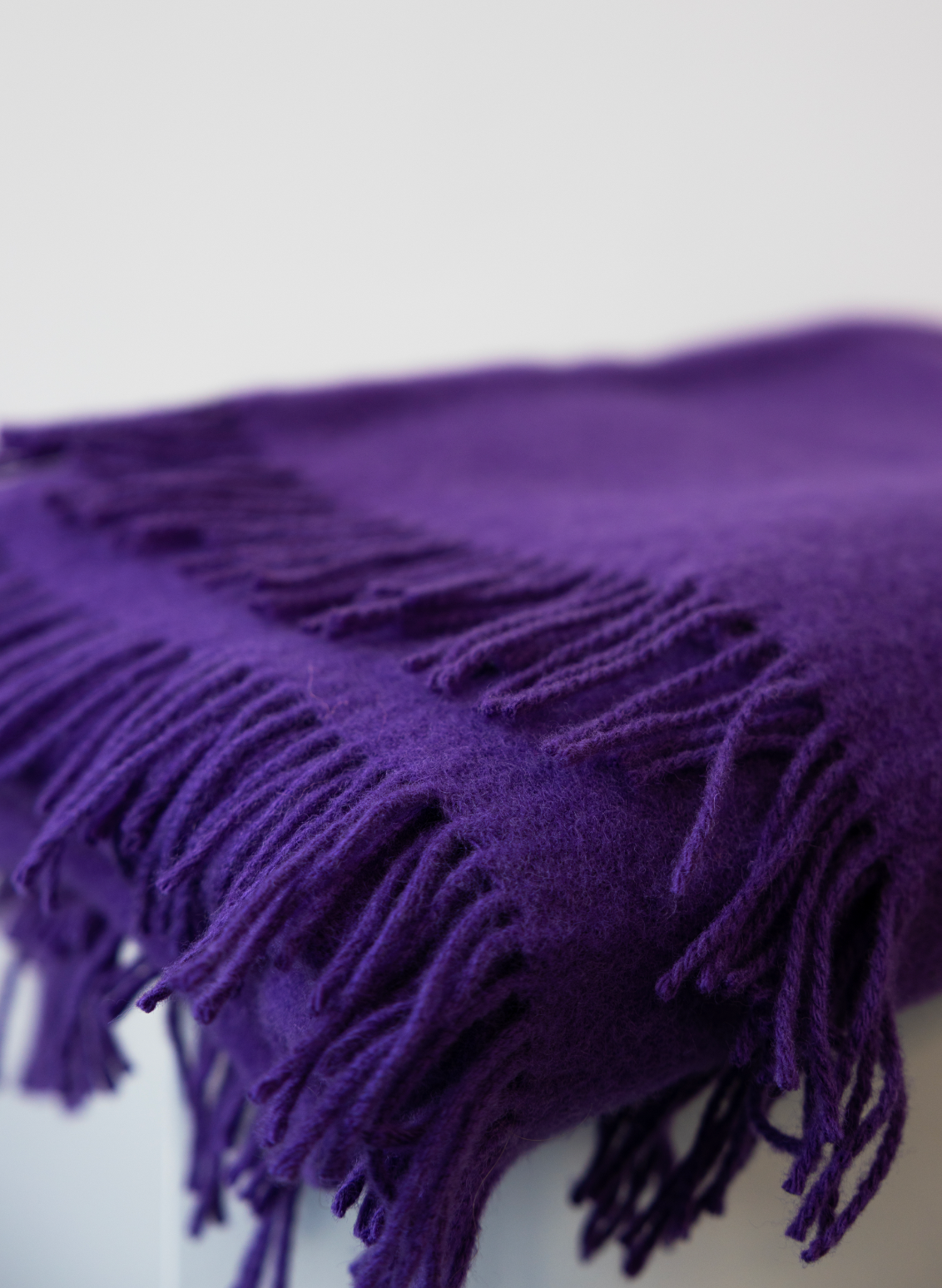 Blanket / purple