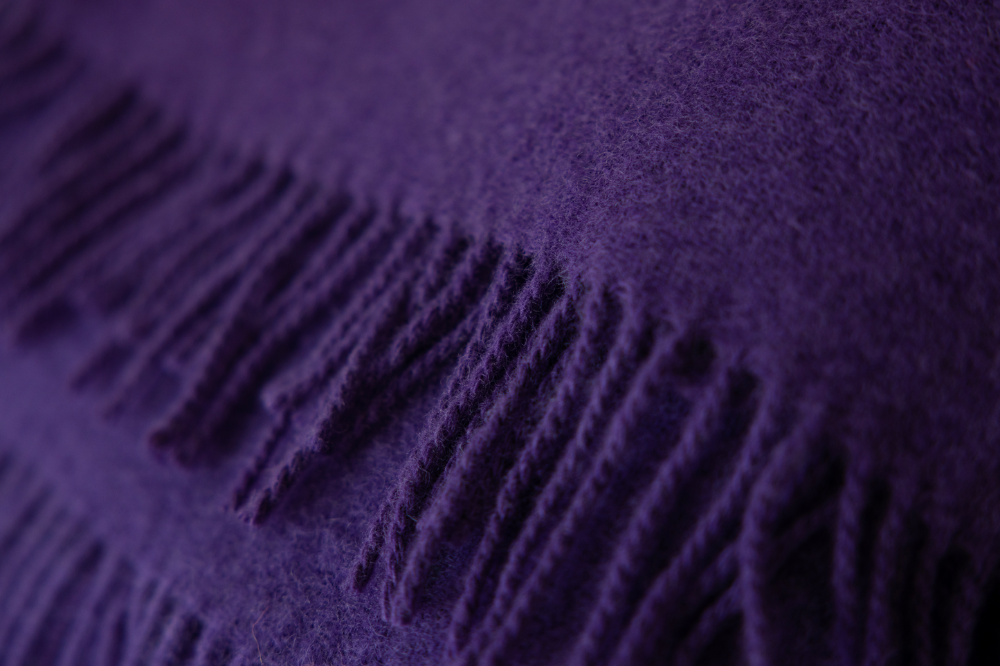 Blanket / purple